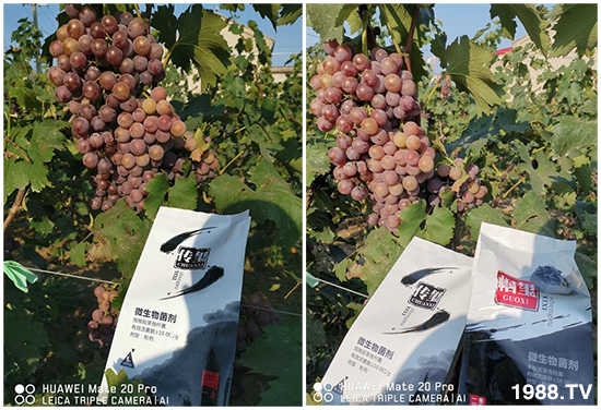 好產(chǎn)品好作用,“一璽生物”微生物菌劑“幗璽”客戶(hù)真實(shí)反饋!