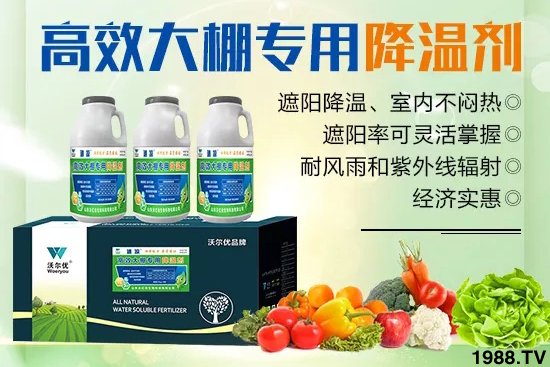 高溫對(duì)黃瓜有什么危害?大棚黃瓜降溫措施怎么做?