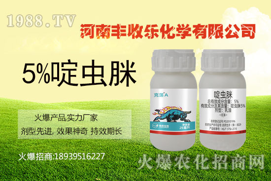 ��x���ǃ�(n��i)�����x��������x����Ҫ?d��)�ʲô�x�����Դ����׆᣿