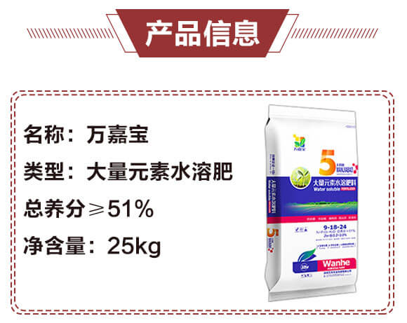 大量元素水溶肥料9-18-24-萬嘉寶-萬禾農(nóng)科_03