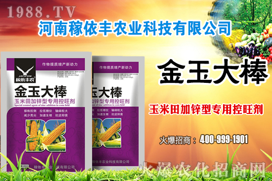 玉米施肥尿素和復(fù)合肥哪個(gè)好？玉米施肥注意事項(xiàng)有哪些？