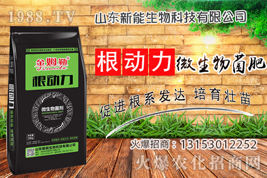 作物生根用什么肥?使用“微生物菌肥”有什么優(yōu)勢(shì)?