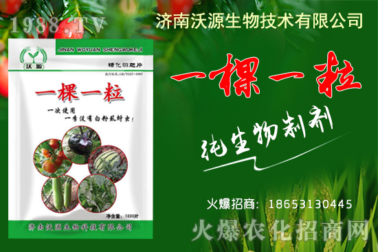 蚜蟲、白粉虱、薊馬怎么防?沃源生物“一棵一?!睔⒊x卵,藥效!