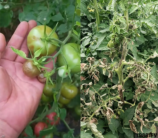 ����������ΰl(f��)�������Л](m��i)�кõķ��δ�ʩ�������@�ׂ�(g��)����߀�оȣ�