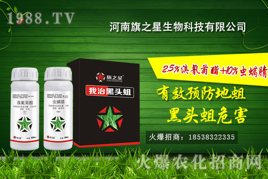 河南旗之星怎么樣?河南旗之星殺蛆產(chǎn)品有哪些?