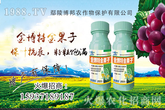 花生早衰減產(chǎn)嚴(yán)重該咋辦？花生早衰原因，種植戶如何避免？