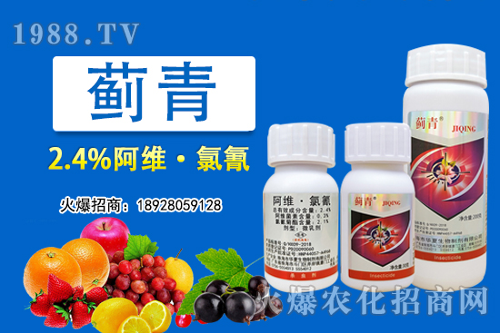 2.4%阿維·氯氰能打薊馬嗎？2.4%阿維·氯氰使用方法！
