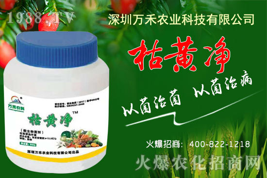 枯黃凈能防治哪些病害？枯黃凈適用作物及使用方法！