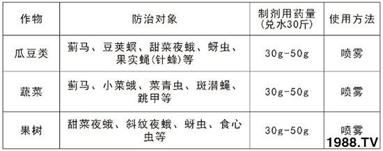 2.4%阿維·氯氰能打薊馬嗎？2.4%阿維·氯氰使用方法！