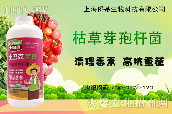 上海僑基“土巴克”-專注土壤病害防控和土壤修復15年!