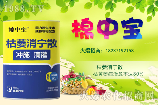 【品牌推薦】河南北斗星有什么優(yōu)勢(shì)?北斗星旗下產(chǎn)品有哪些?