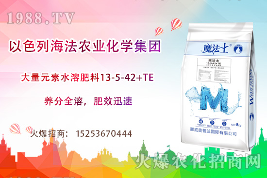 海法農(nóng)業(yè)為啥這么牛?海法農(nóng)業(yè)生產(chǎn)特色是什么?主打哪些產(chǎn)品?