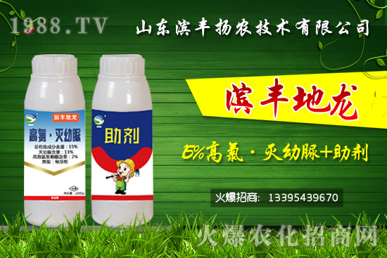 黑頭蛆、地蛆、根蛆如何有效防治?“15%高氯·滅幼脲+助劑”殺蛆雙保險(xiǎn)!