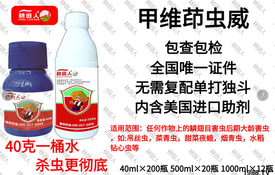 ����Ʒ�r(n��ng)ˎ�������¼Z�}������������ô�������x���a(ch��n)Ʒ����Щ��