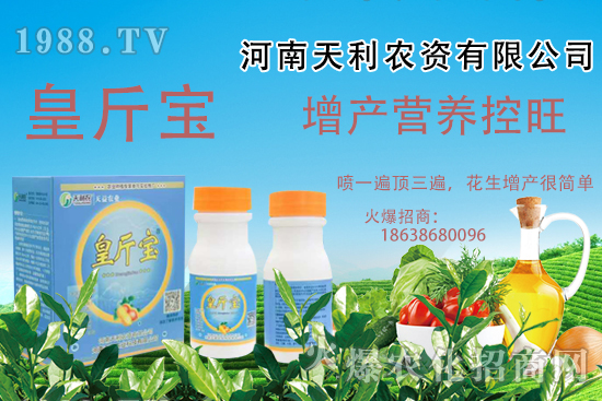 花生施肥常見問題有哪些?花生需肥規(guī)律及施肥方案講解!
