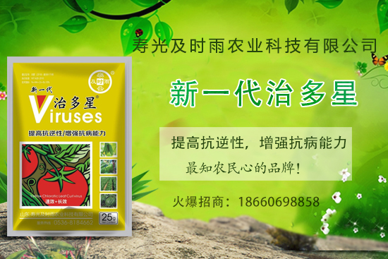番茄病毒病你知道幾種?怎樣合理防治番茄病毒?。?內(nèi)附防治方法)