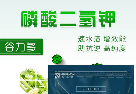 ��������-������-��٤�z_01