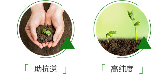 ��������-������-��٤�z_05