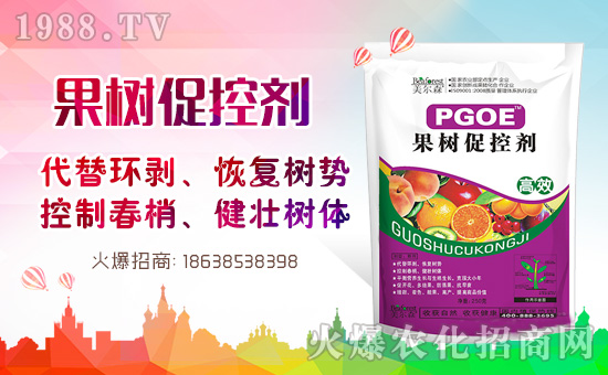 果樹巧用多效唑!效果翻倍沒問題!多效唑的作用與使用方法!