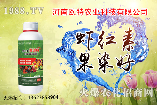  草莓苗品種如何選擇，怎么提高草莓苗種植成活率？