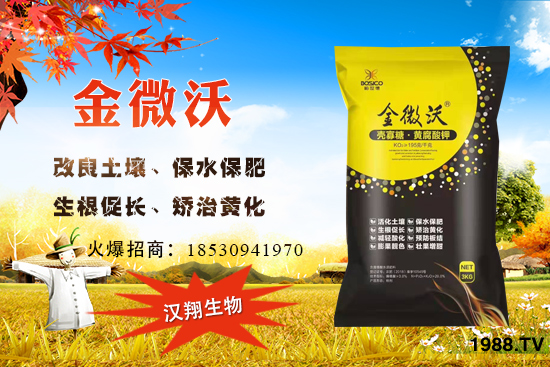 家中庭院可以種葡萄嗎?葡萄什么時候種?怎么種植?