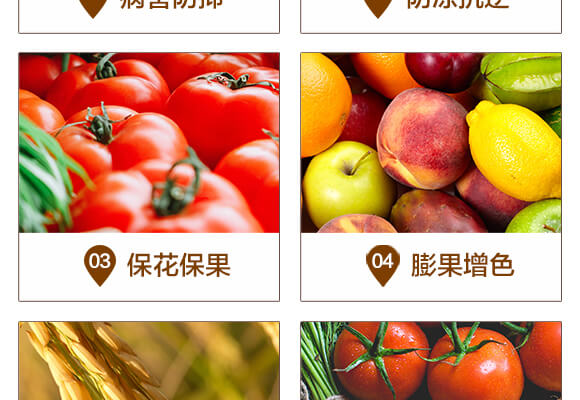 微生物菌劑（500ml）-百億擴(kuò)繁-華濱生物_05