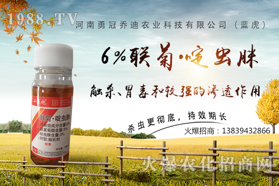 番茄白粉虱大爆發(fā),防治難?“6%聯(lián)菊·啶蟲(chóng)脒”卵蟲(chóng)通殺,藥性強(qiáng)!