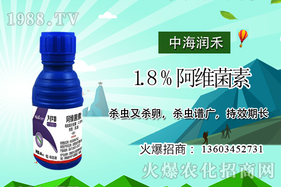 斜紋夜蛾高發(fā)期，防治工作迫在眉睫！斜紋夜蛾如何用藥？