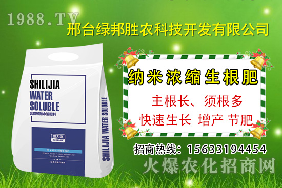 番茄死棵究竟哪些原因所致,如何預(yù)防番茄死棵發(fā)生?