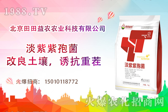 西紅柿需肥特點有哪些，西紅柿夏季如何管理？