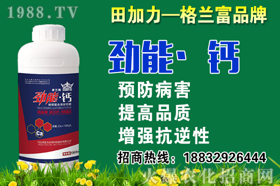 2020秋蘿卜什么時(shí)候種?秋蘿卜種植要注意哪些問題?