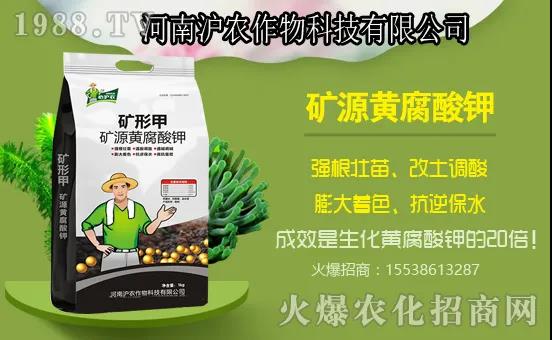 南瓜生長分哪幾個過程?南瓜施肥要點,用什么肥料好?
