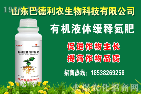 板栗多少錢一斤？種植前景如何？栗種植成本及利潤分析！