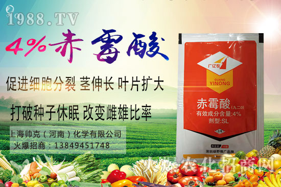 魔芋種植要點有哪些?魔芋市場價格及種植前景分析!