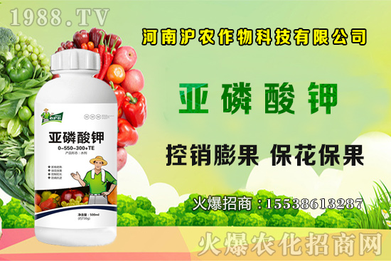 大蔥育苗要點(diǎn)你知道嗎?大蔥常見病蟲害有哪些?如何防治?