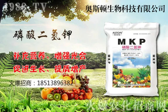 哪個品種的柚子更好吃,我國柚子產(chǎn)地及品種有哪些?