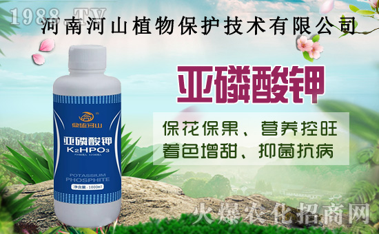 小麥政策加碼！扎堆賣糧！2020年8月14日小麥價(jià)格行情！