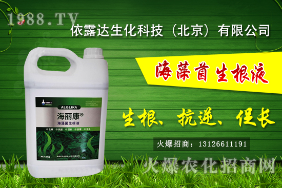 獼猴桃有哪些品種，獼猴桃和奇異果有什么區(qū)別？