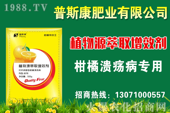 茭白無(wú)公害栽培技術(shù)要點(diǎn)，茭白采收標(biāo)準(zhǔn)及方法！