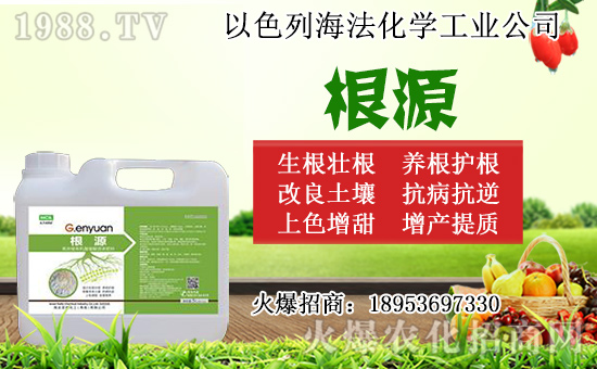 無(wú)花果怎么扦插？無(wú)花果扦插時(shí)間及扦插繁殖方法！