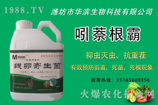 無花果種植什么品種較好？無花果皮可以吃嗎？種植前景怎樣？