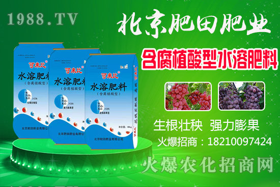 蘆柑產(chǎn)地在哪？蘆柑什么時(shí)候上市？如何挑選蘆柑？