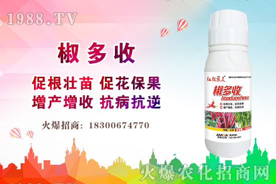 小麥價格多少錢一斤?2020年后期小麥價格還會上漲嗎?