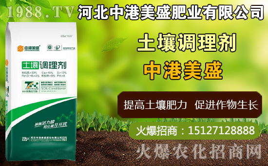 中藥太子參什么時間種植，太子參什么時候收獲更好（附種植技術）