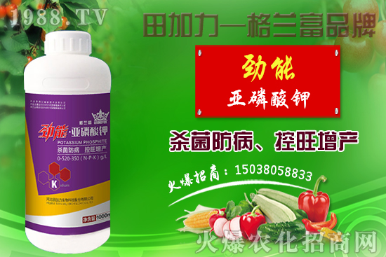 棉花如何做到合理施肥？棉花需肥特性及施肥原則！