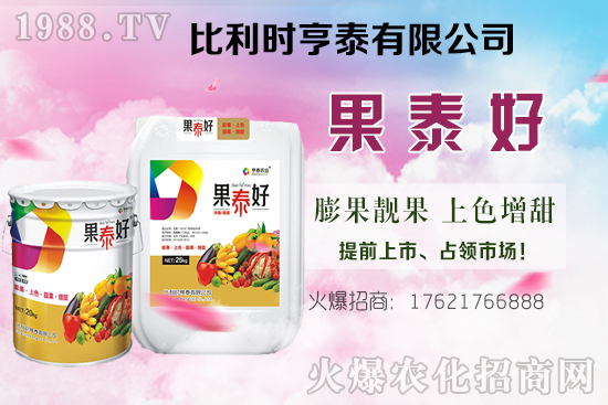 油茶樹的價(jià)格怎樣？種植前景如何？油茶樹畝產(chǎn)效益分析！