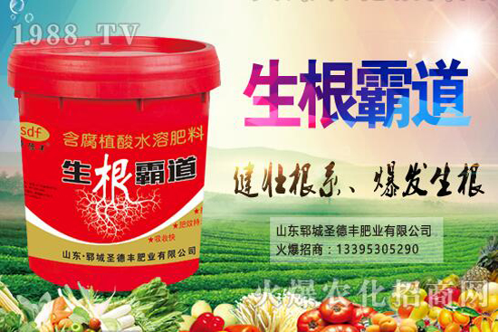 花椒樹種植季節(jié)是什么時候？花椒樹種植技巧有哪些？