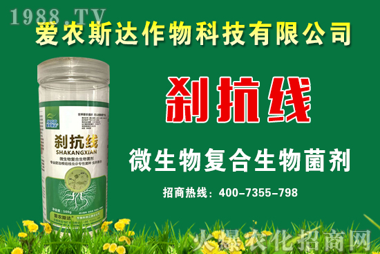 今日糧價(jià):2020年9月11日小麥價(jià)格行情預(yù)測(cè)!