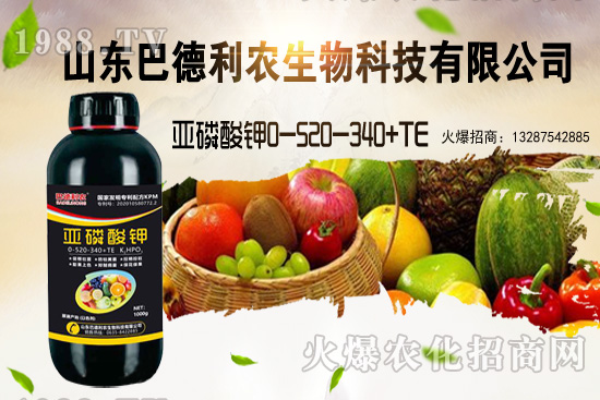 小麥價(jià)格能漲到多少錢一斤?部分地區(qū)價(jià)格行情!