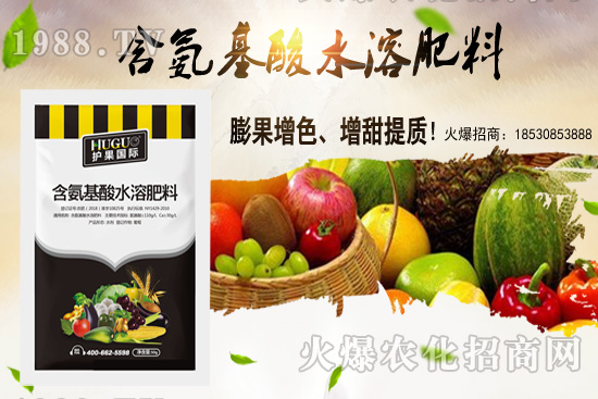 蕓豆適合在什么季節(jié)栽培?蕓豆如何進(jìn)行種植?